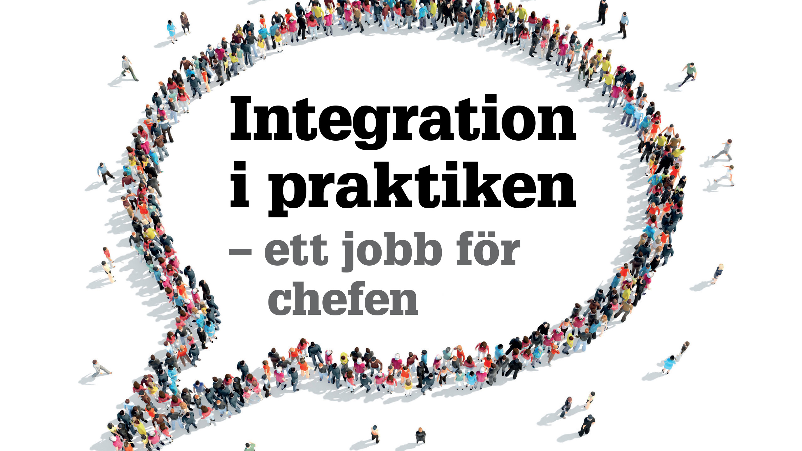 Rapport: Integration i praktiken